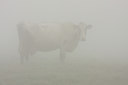 BUITEN BEELD Foto: 47307
