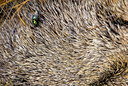 BUITEN BEELD Foto: 47325