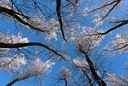 BUITEN BEELD Foto: 47336