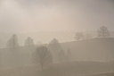 BUITEN BEELD Foto: 47348