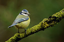 BUITEN BEELD Foto: 47366