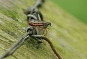 BUITEN BEELD Foto: 47375