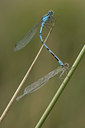 BUITEN BEELD Foto: 47380