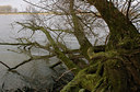 BUITEN BEELD Foto: 47430