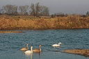 BUITEN BEELD Foto: 47443