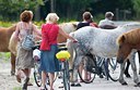 BUITEN BEELD Foto: 47470