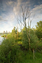 BUITEN BEELD Foto: 47480