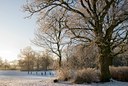 BUITEN BEELD Foto: 47534