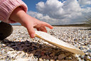 BUITEN BEELD Foto: 47569
