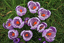 BUITEN BEELD Foto: 47587