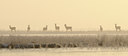 BUITEN BEELD Foto: 47593