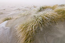 BUITEN BEELD Foto: 47647