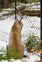 BUITEN BEELD Foto: 47659