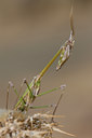 BUITEN BEELD Foto: 47686