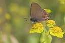 BUITEN BEELD Foto: 47688