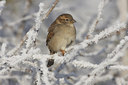 BUITEN BEELD Foto: 47747