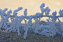 BUITEN BEELD Foto: 47797
