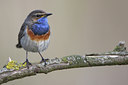 BUITEN BEELD Foto: 47857