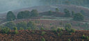 BUITEN BEELD Foto: 47941