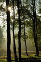 BUITEN BEELD Foto: 47950