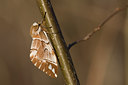 BUITEN BEELD Foto: 47955