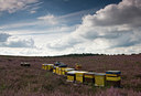 BUITEN BEELD Foto: 47957