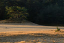 BUITEN BEELD Foto: 47974