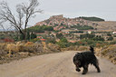 BUITEN BEELD Foto: 47990