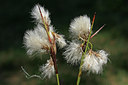 BUITEN BEELD Foto: 48006