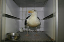 BUITEN BEELD Foto: 48033