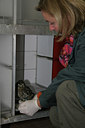 BUITEN BEELD Foto: 48036