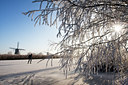BUITEN BEELD Foto: 48040