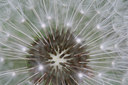 BUITEN BEELD Foto: 48071