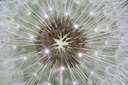BUITEN BEELD Foto: 48073