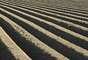 BUITEN BEELD Foto: 48081