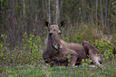 BUITEN BEELD Foto: 48096