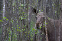 BUITEN BEELD Foto: 48101