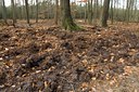 BUITEN BEELD Foto: 48204