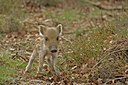 BUITEN BEELD Foto: 48206