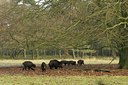 BUITEN BEELD Foto: 48211