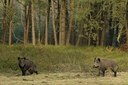 BUITEN BEELD Foto: 48215