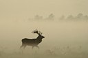 BUITEN BEELD Foto: 48223