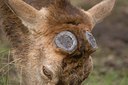 BUITEN BEELD Foto: 48233