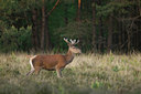 BUITEN BEELD Foto: 48234