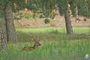 BUITEN BEELD Foto: 48241