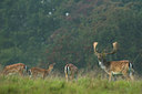 BUITEN BEELD Foto: 48254