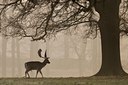 BUITEN BEELD Foto: 48257