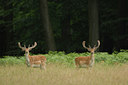 BUITEN BEELD Foto: 48264