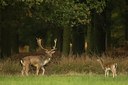 BUITEN BEELD Foto: 48271