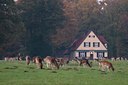BUITEN BEELD Foto: 48276
